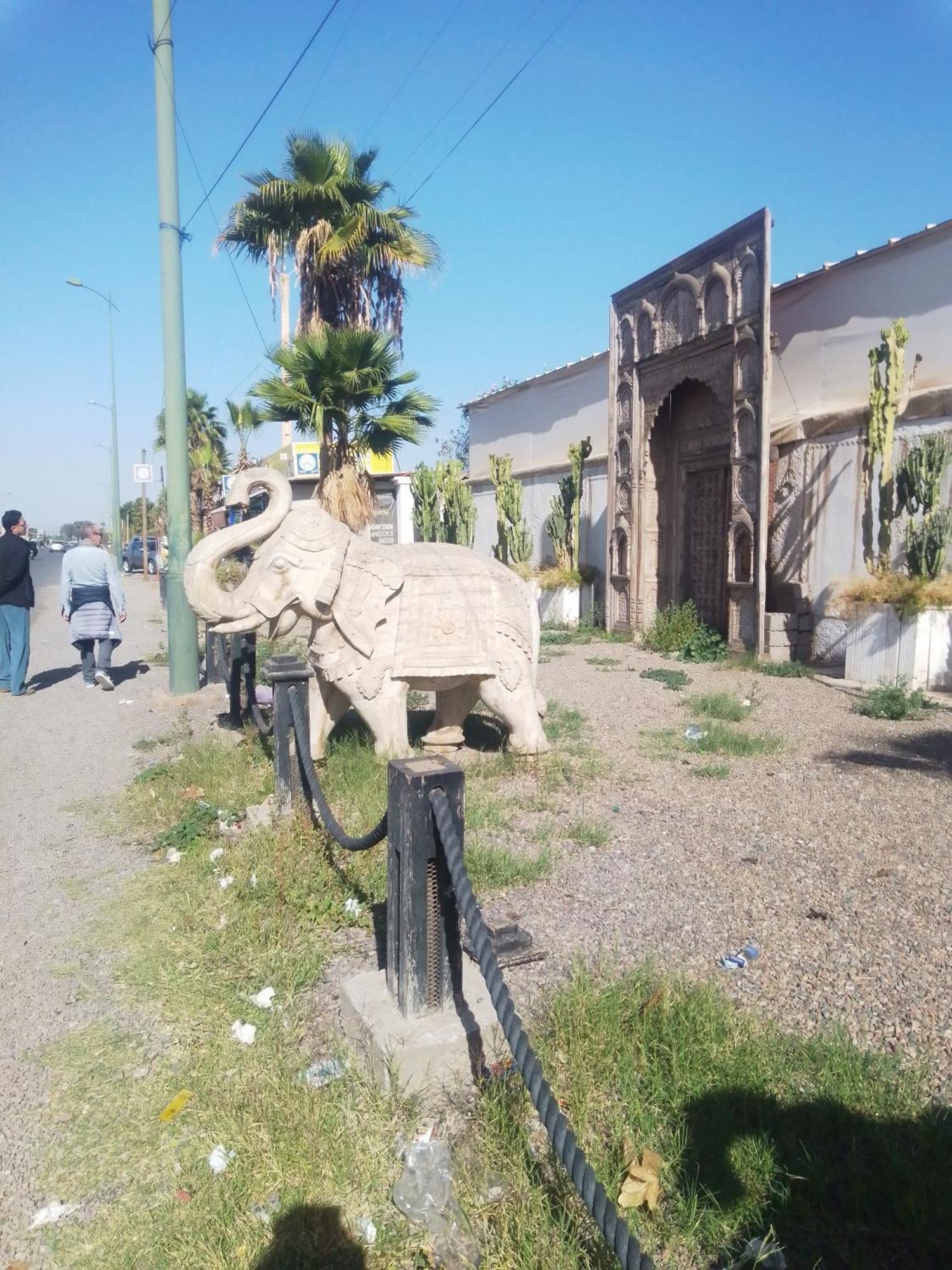 Riad Bouganville Bleu Marrakesh Exteriör bild